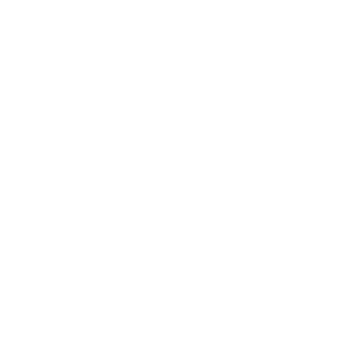Core Values Icon